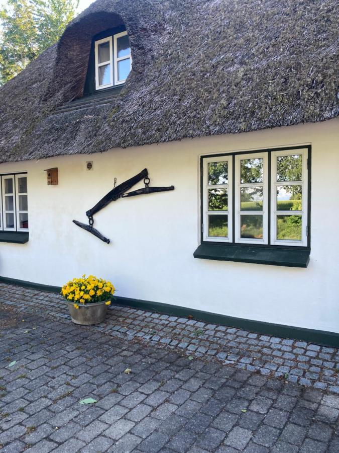Skovlyset'S B&B Juelsminde  Esterno foto