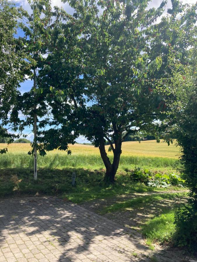 Skovlyset'S B&B Juelsminde  Esterno foto