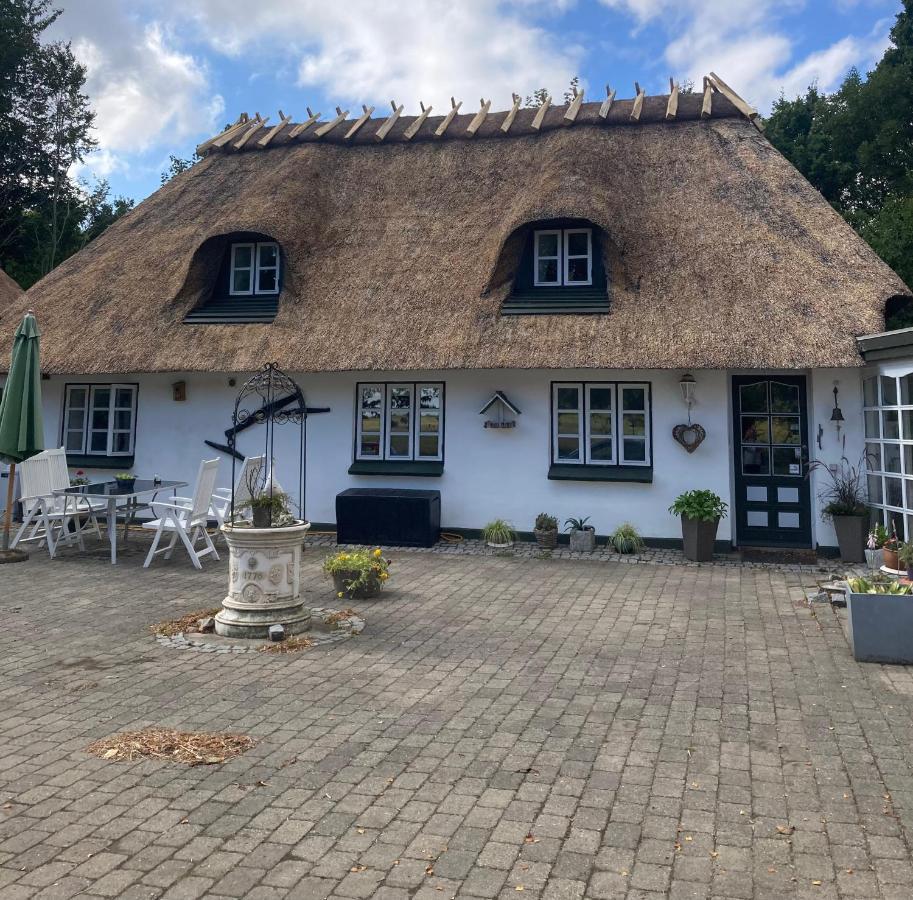 Skovlyset'S B&B Juelsminde  Esterno foto